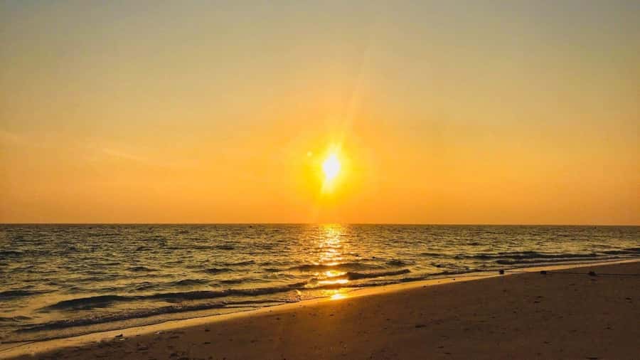 Krabi: Phi Phi Early Bird & 4 Island by Speedboat with Lunch - Pileh Lagoon and Phi Phi Leh by boat