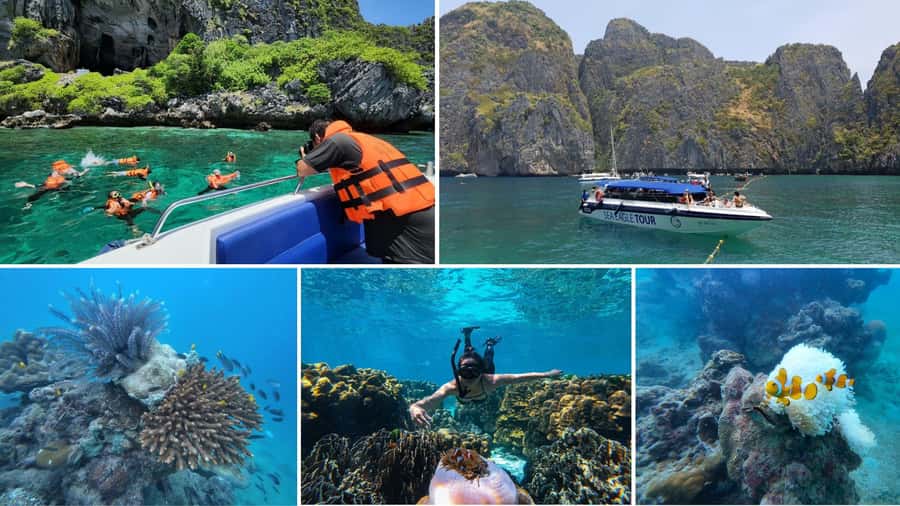 Krabi: Phi Phi Early Bird & 4 Island by Speedboat with Lunch - Phi Phi Don lunch and free time
