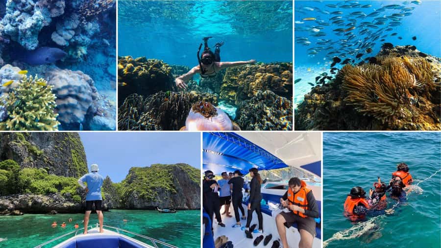 Krabi: Phi Phi Islands Full-Day Private Speedboat Charter - Bamboo Island is the day’s best place to slow down