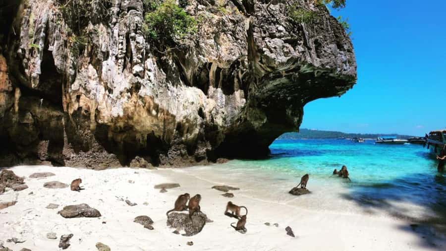 Krabi: Phi Phi Islands Full-Day Private Speedboat Charter - The return ride and what to pack