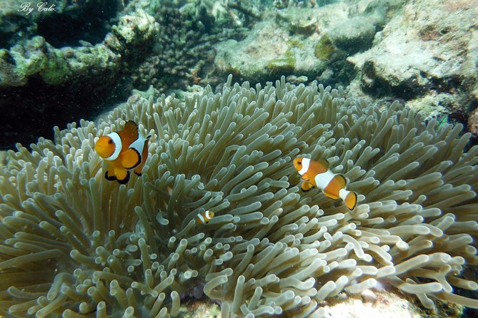 Krabi to James Bond and Hong Islands Offbeat Speedboat Tour - A full day that tries to outsmart the crowds