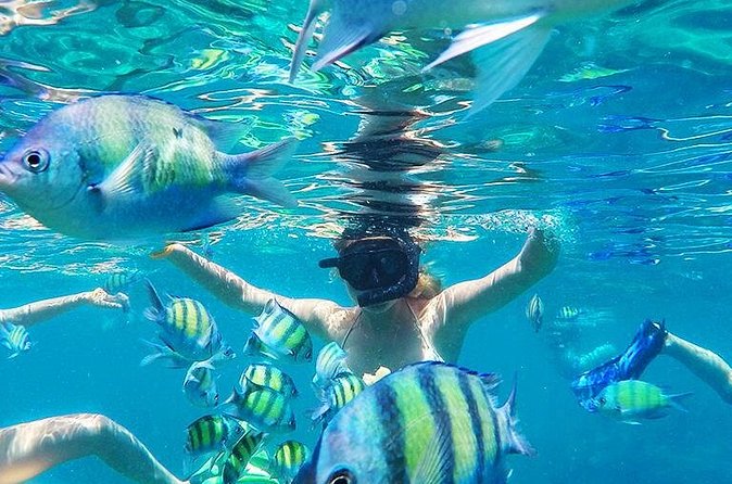 Krabi to Phi Phi Islands by Speedboat - Maya Bay and the cliffs of Phi Phi Ley