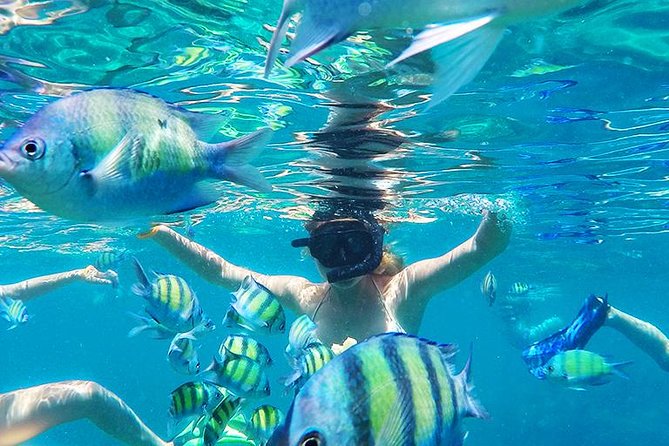 Krabi to Phi Phi Islands by Speedboat - Is $79 good value?