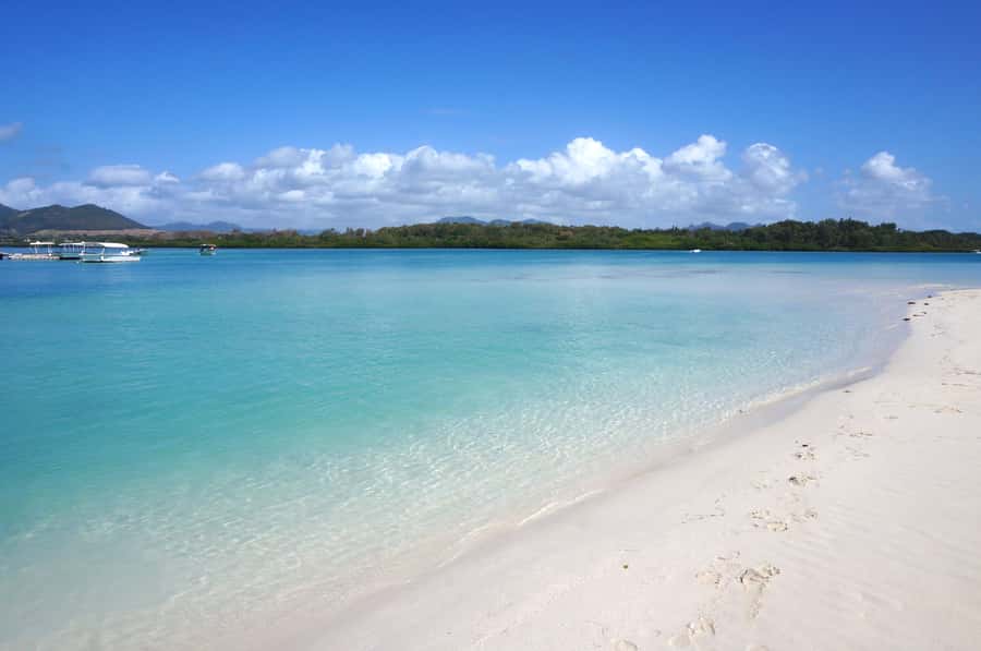 La Preneuse: Dolphin Swimming and Snorkeling Speedboat Trip - A small speedboat makes the dolphin search more personal
