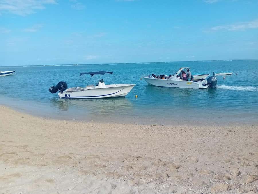 La Preneuse: Dolphin Watching and Snorkeling Speedboat Tour - What the guides add to the experience