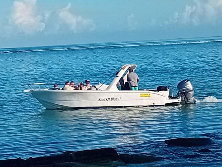 La Preneuse: Dolphin Watching and Snorkeling Speedboat Tour - What $58 gets you