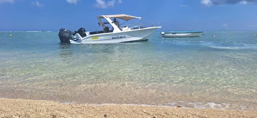 La Preneuse: Dolphin Watching and Snorkeling Speedboat Tour - The best fit for this boat trip