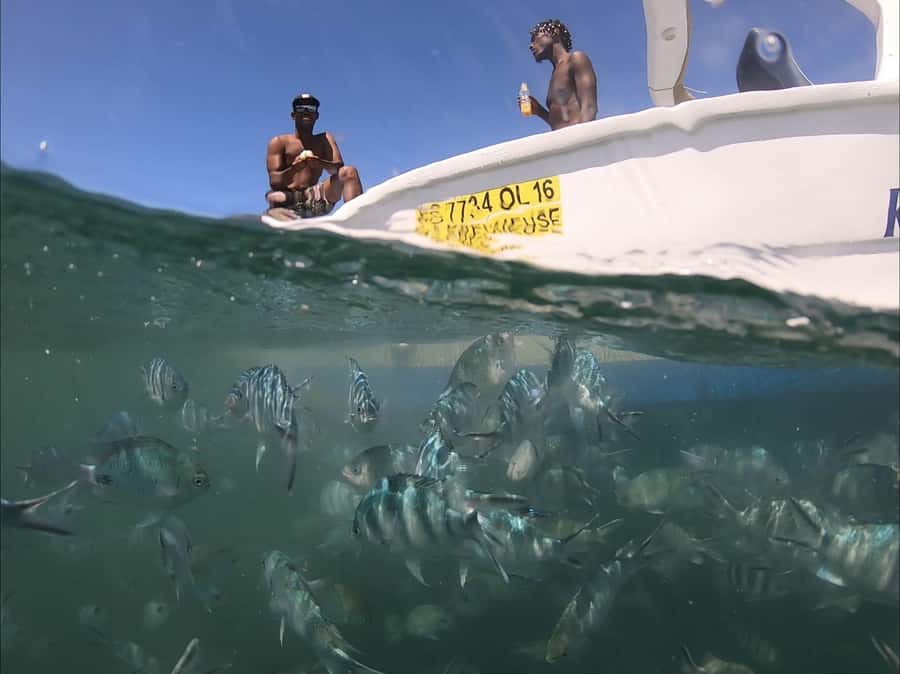 La Preneuse: Dolphin Watching and Snorkeling Speedboat Tour - The 20-minute ride toward the dolphin area