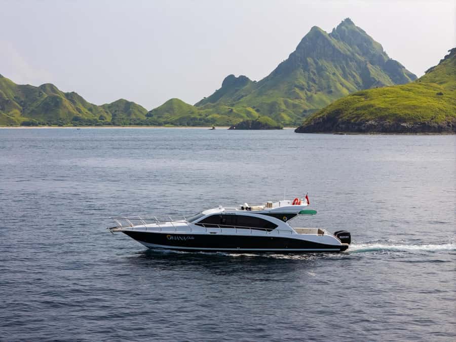 Labuan Bajo: Komodo National Park Full-Day Speedboat Tour - Pink Beach: color, swimming, and a short shore break