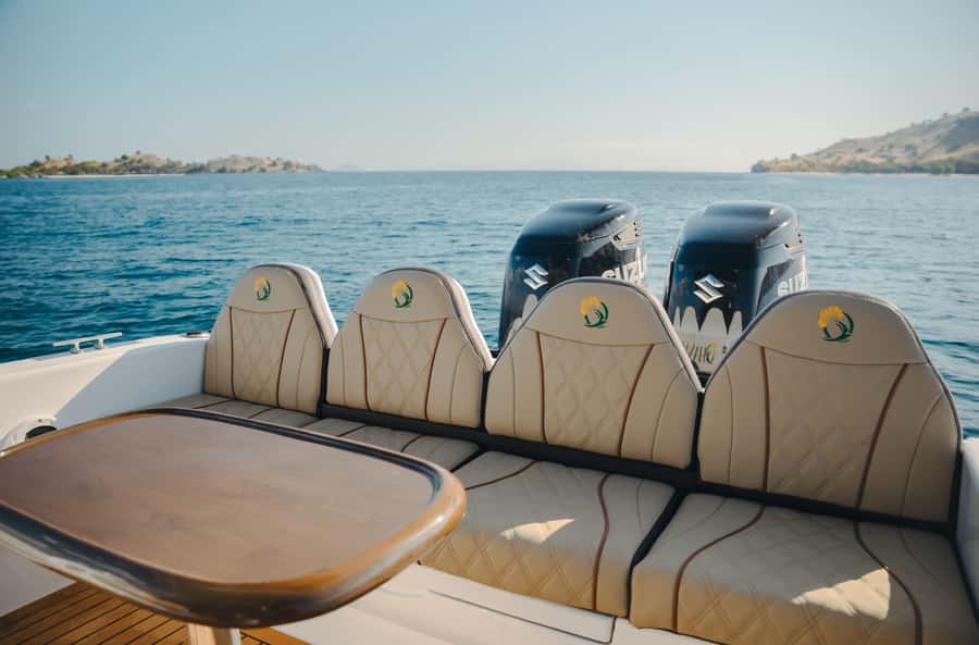 Labuan Bajo: Komodo National Park Full-Day Speedboat Tour - What the $92 price really covers