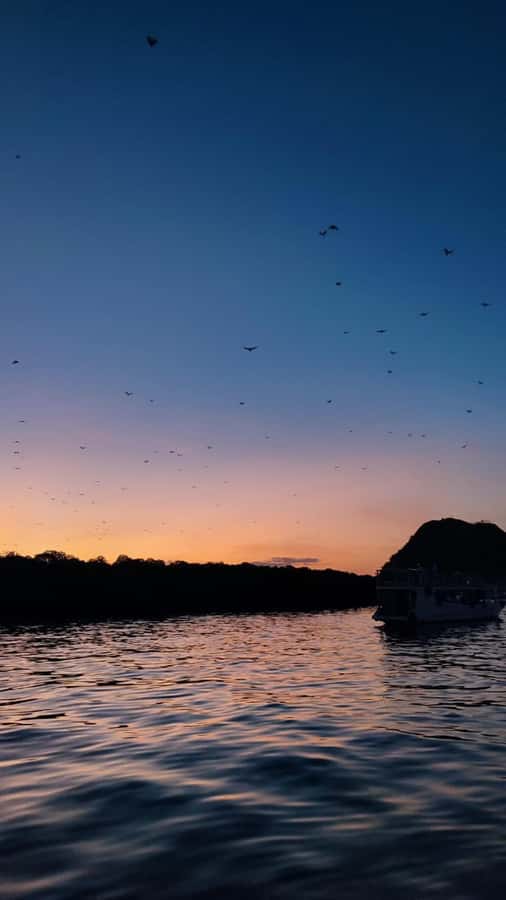 Labuan bajo: One Day Komodo Private & Shared Speedboat Trip - Private or shared: which version gives better value?