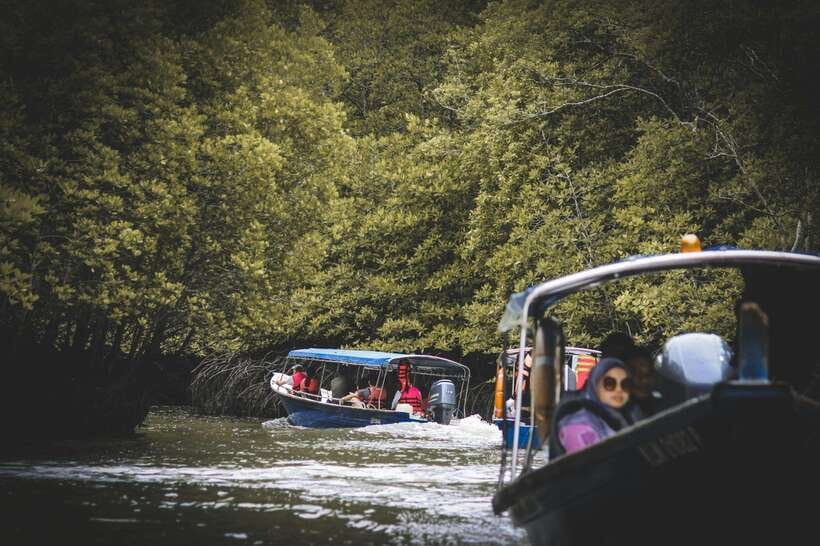 Langkawi: Tanjung Rhu Mangrove Speedboat Tour - Transport, check-in, and group size