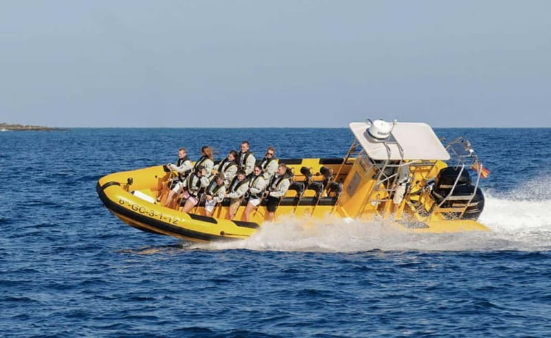 Lanzarote: Dolphin Watching by speedboat - The ride can be the main event