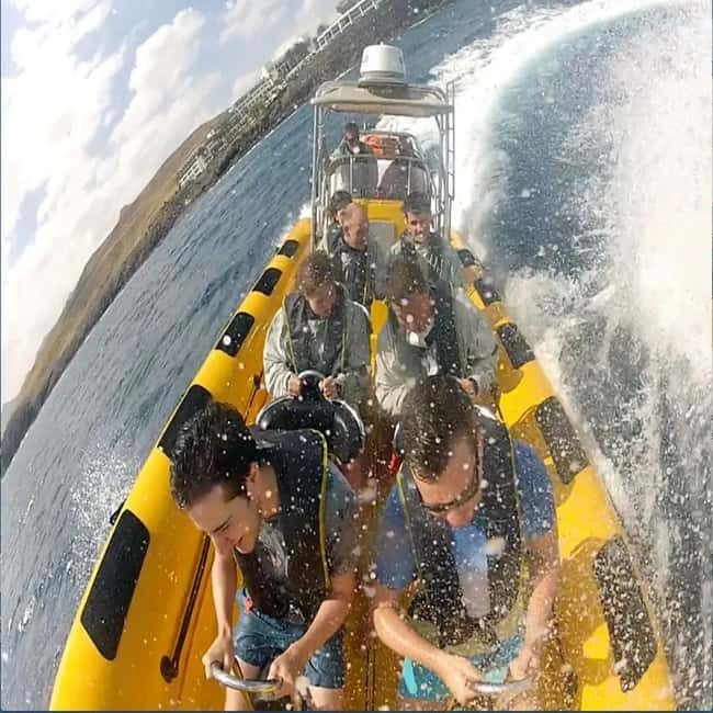 Lanzarote: Dolphin Watching by speedboat - Is $77 a fair price?