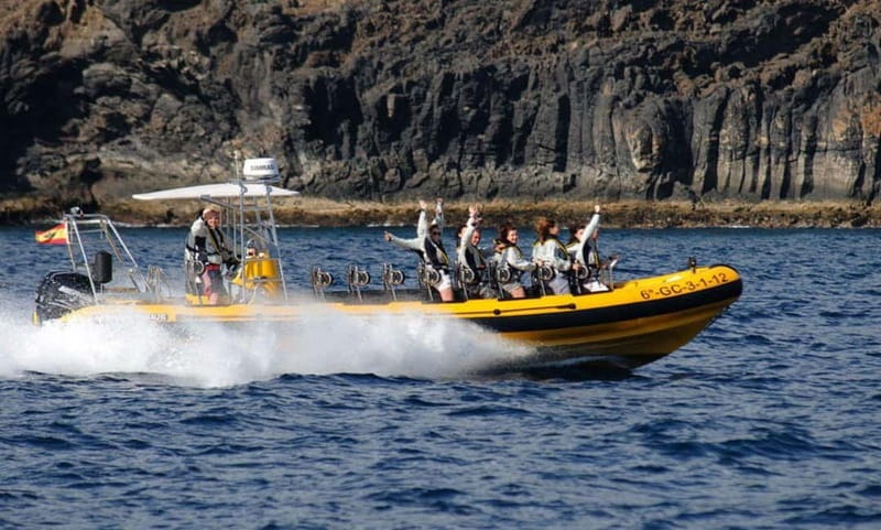 Lanzarote: Dolphin Watching by speedboat - Simple ways to prepare