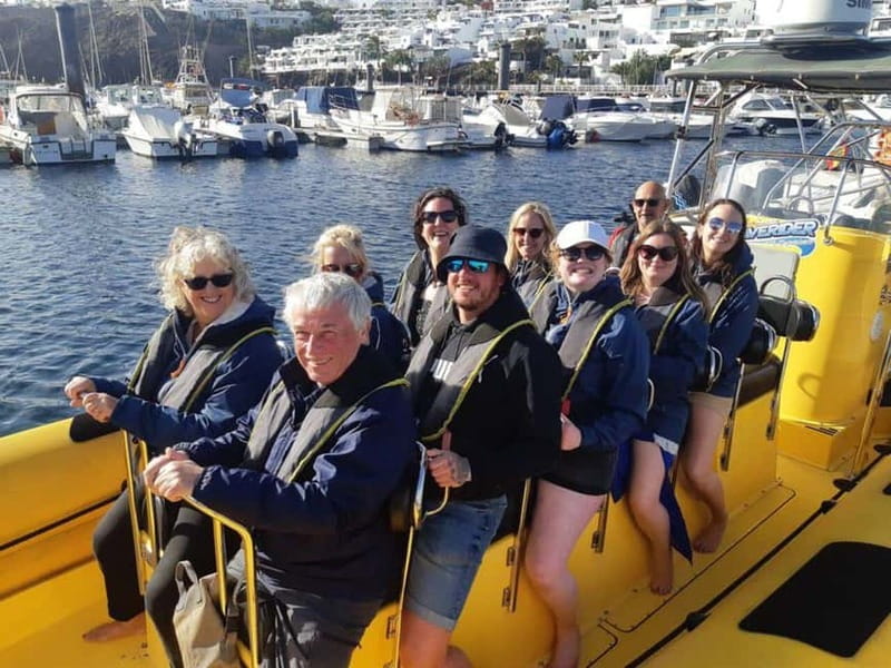 Lanzarote: Dolphin Watching by speedboat - How the outing compares with a standard boat cruise