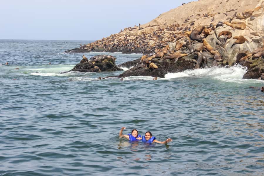 Lima: Palomino Islands Speedboat Tour & Swim with Sea Lions - Booking flexibility and the final decision