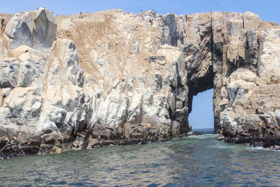 Lima: Palomino Islands Speedboat Tour & Swim with Sea Lions - Leaving Lima for the Pacific