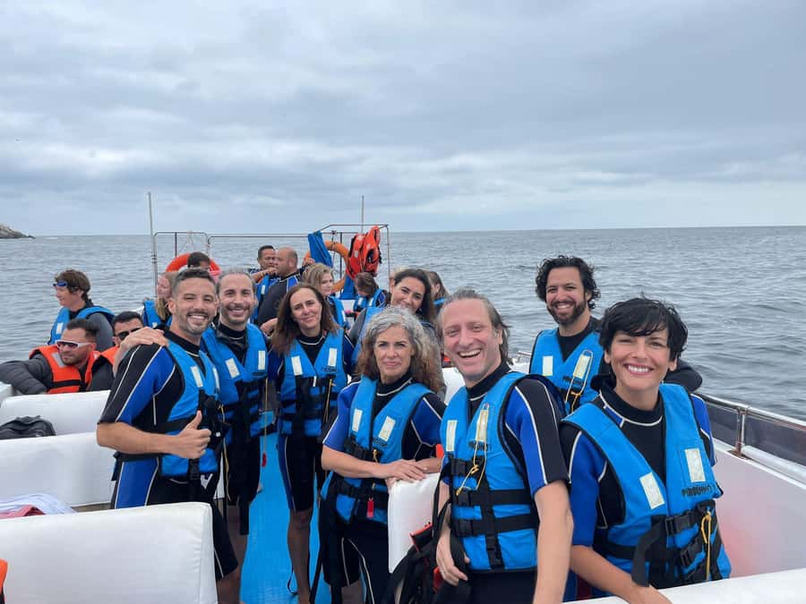 Lima: Palomino Islands Speedboat Tour & Swim with Sea Lions - Swimming beside the sea lions