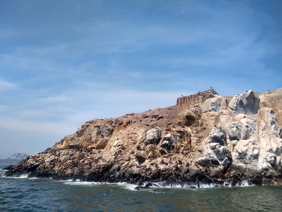 Lima: Palomino Islands Speedboat Tour & Swim with Sea Lions - Birds, penguins, and the wider marine setting