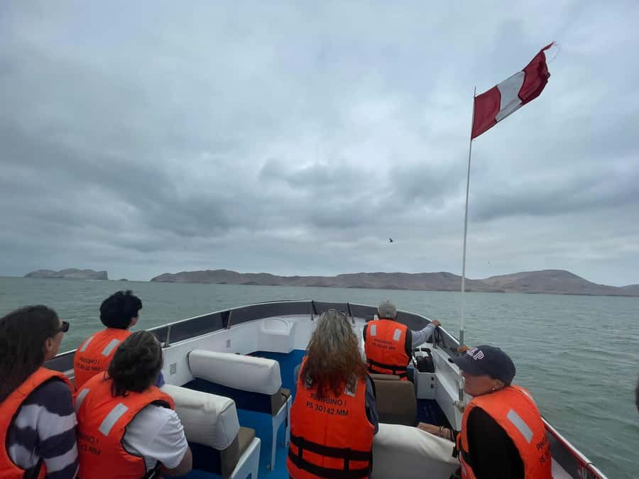 Lima: Palomino Islands Speedboat Tour & Swim with Sea Lions - What the $125 price really covers