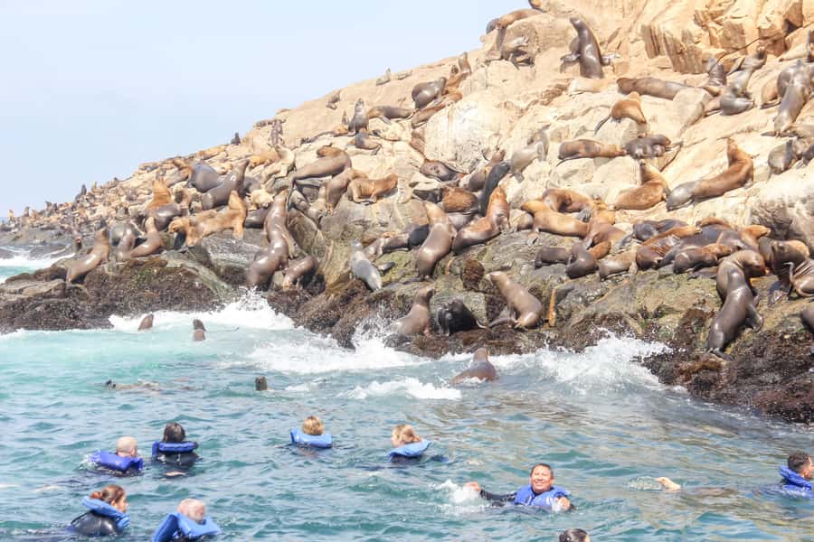 Lima: Palomino Islands Speedboat Tour & Swim with Sea Lions - A speedboat route past El Camotal and San Lorenzo
