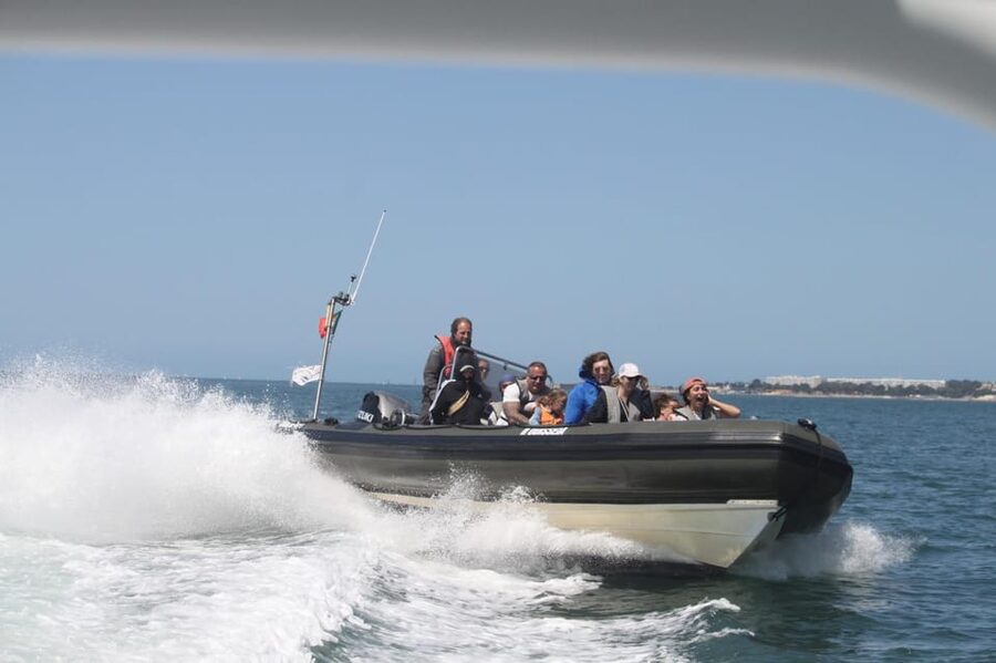 Lisbon: Speedboat Trip to Bugio Lighthouse - Starting under Lisbon’s red bridge