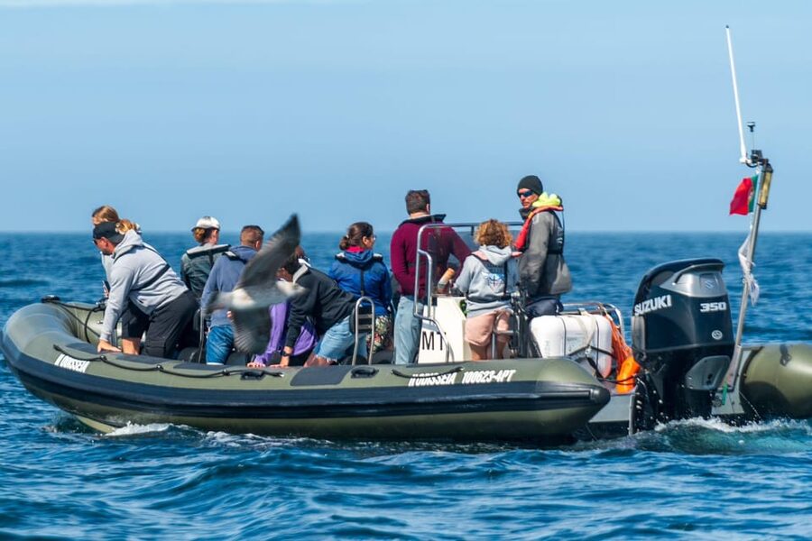 Lisbon: Speedboat Trip to Bugio Lighthouse - What the $47 price gets you