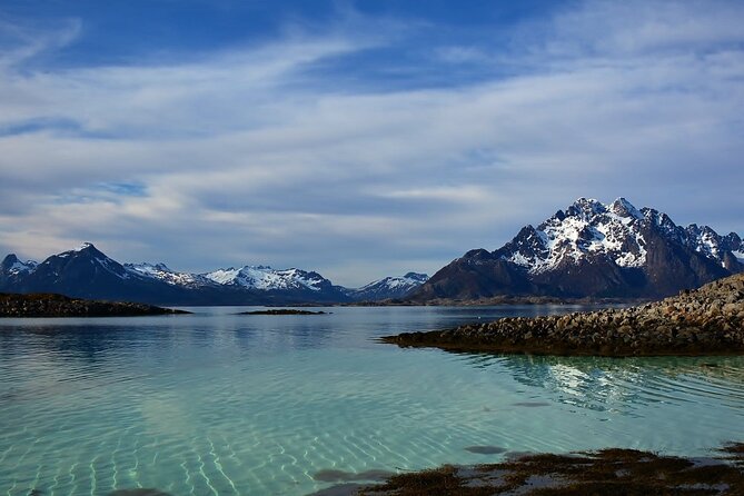 Lofoten RIB Sea Eagle Safari and Trollfjord Cruise - Sea Eagles Above the Water