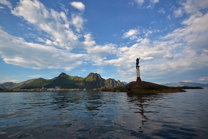 Lofoten RIB Sea Eagle Safari and Trollfjord Cruise - Is the $128.94 Price Fair?
