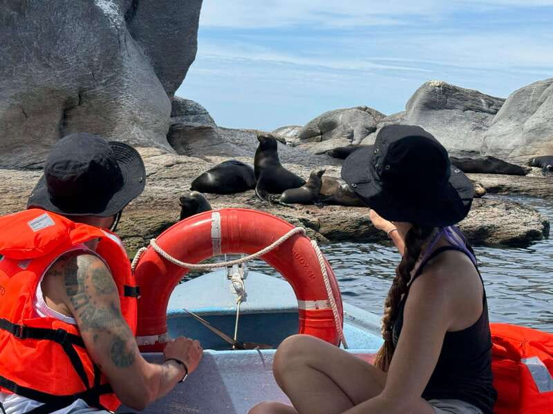 Loreto: Speedboat Tour with Swimming, Snorkeling and Picnic - Practical Details for a Smooth Outing
