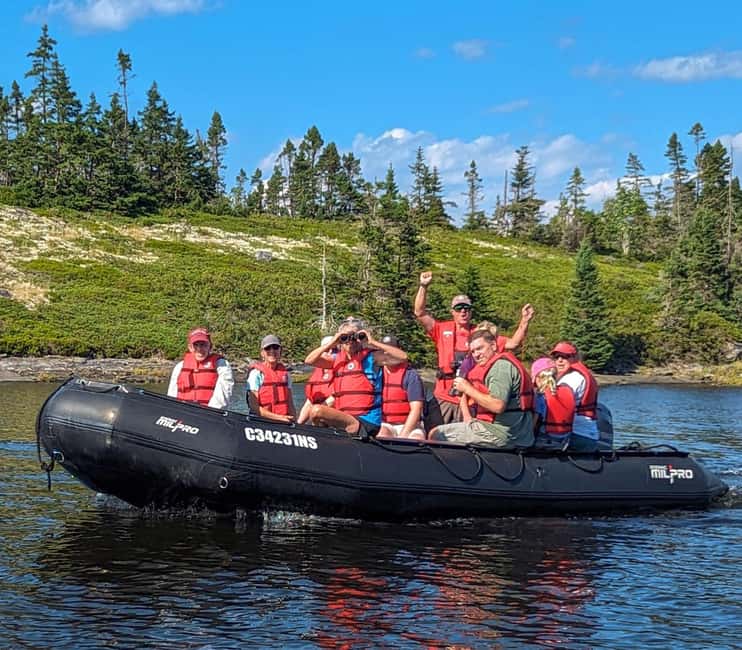 Lunenburg: Zodiac Wildlife Tour with Naturalist Guide - Leaving Lunenburg for the Atlantic coast