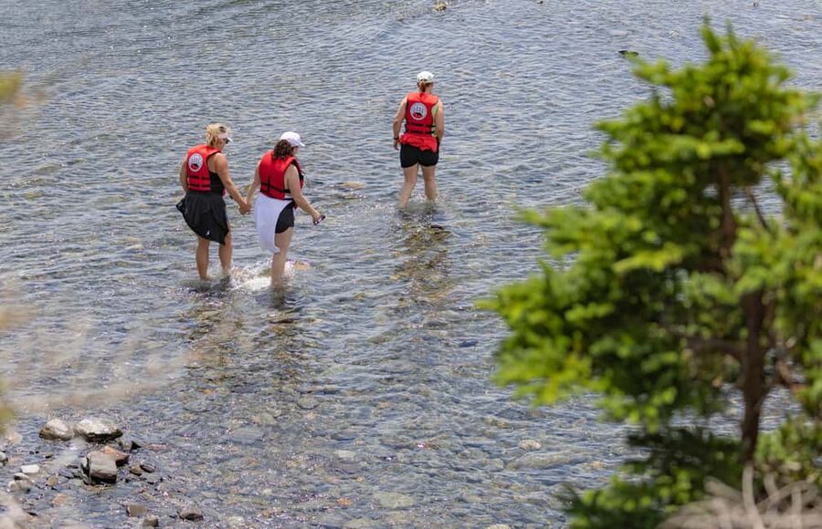 Lunenburg: Zodiac Wildlife Tour with Naturalist Guide - Searching for seals along the shoreline