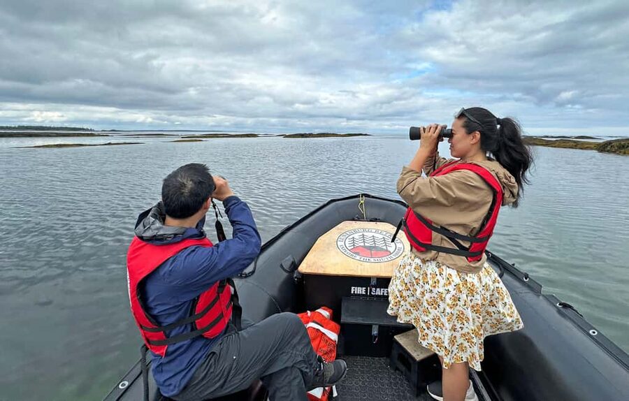 Lunenburg: Zodiac Wildlife Tour with Naturalist Guide - The final moments and the value of the trip