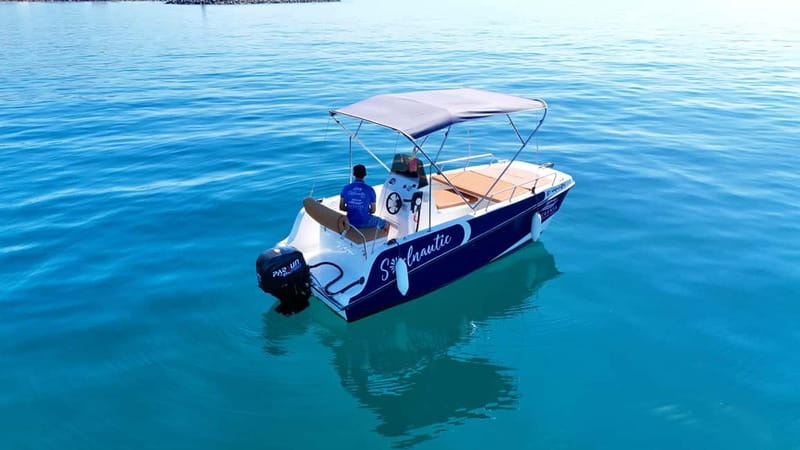 Malaga: 6-Seater Speedboat License-free Boat Rental - Looking for dolphins without false promises