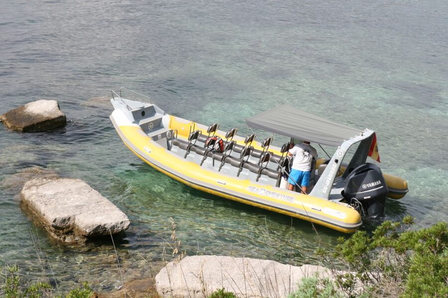 Mallorca : Speedboat, Snorkelling and Swimming Adventure - The Formentor cave and its stalactites
