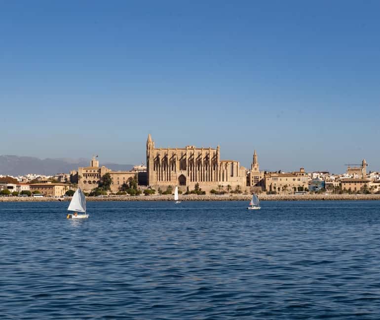 Mallorca: Visit Palma Speedboat adrenaline & snorkelling - Key points to know before booking