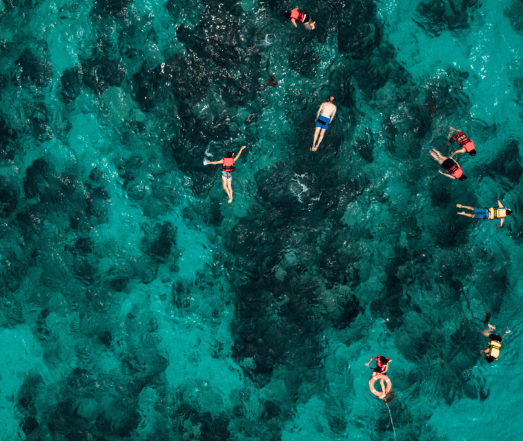 Mallorca: Visit Palma Speedboat adrenaline & snorkelling - Speed, turns, and Captain Roger’s style