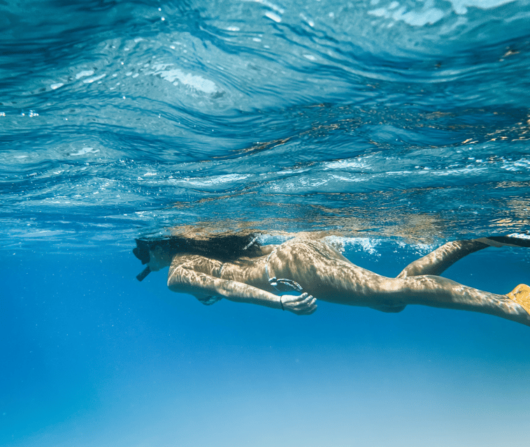 Mallorca: Visit Palma Speedboat adrenaline & snorkelling - The Ses Illetes swimming stop