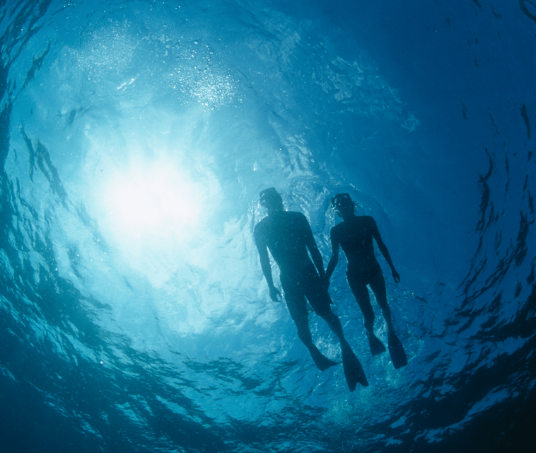 Mallorca: Visit Palma Speedboat adrenaline & snorkelling - What the $53 price really covers
