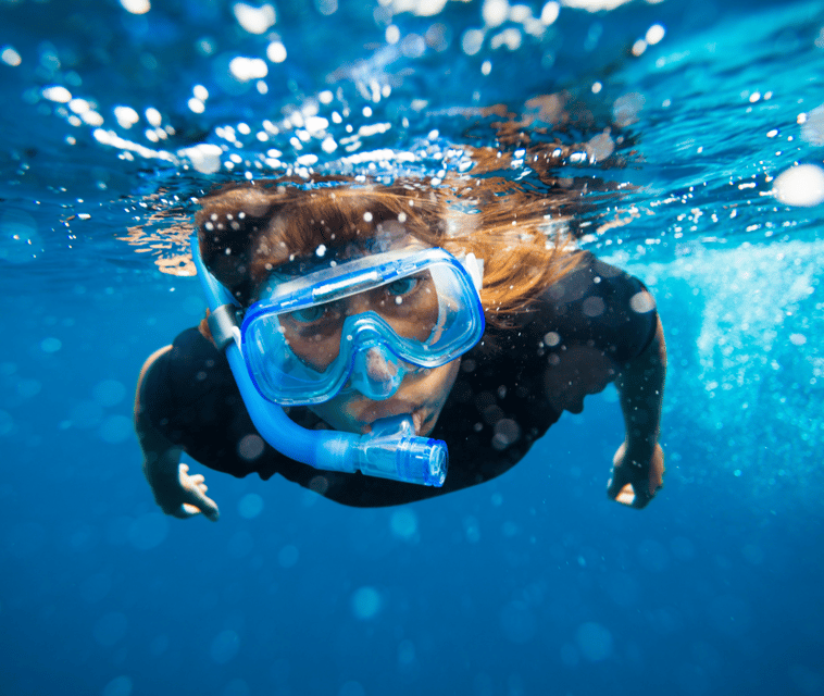 Mallorca: Visit Palma Speedboat adrenaline & snorkelling - Who will enjoy it most
