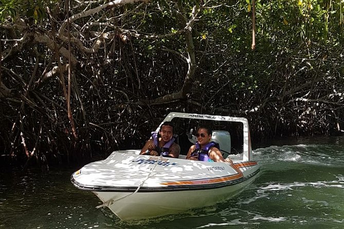Mangrove and Lagoon Speed Boat Tour - Is the Mangrove and Lagoon Speed Boat Tour worth booking?