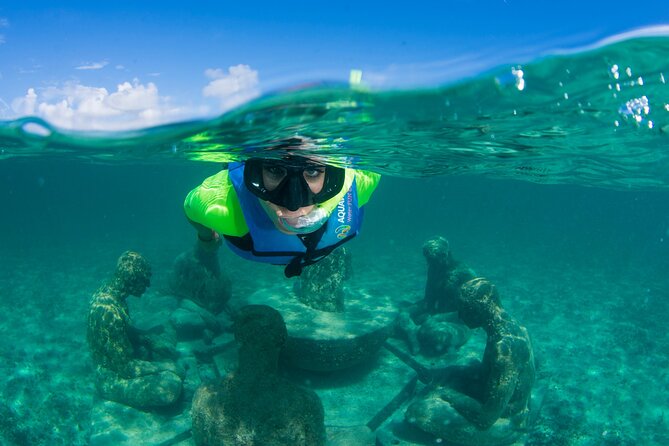 Mangrove Jungle Speedboat Experience - What the $49 price really covers
