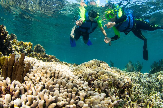 Mangrove Jungle Speedboat Experience - Choosing a departure time and meeting point