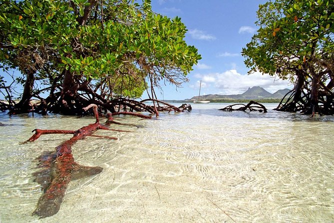 Marvelous Ile aux Cerf island: Speed Boat, Parasailing, Lunch & GRSE waterfall - Key points before you book