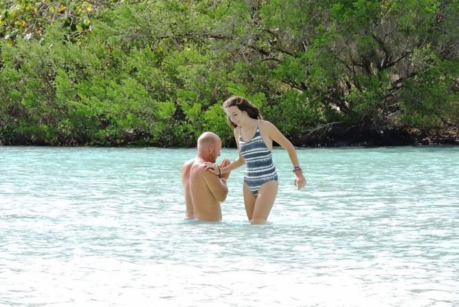 Marvelous Ile aux Cerf island: Speed Boat, Parasailing, Lunch & GRSE waterfall - Parasailing above the lagoon