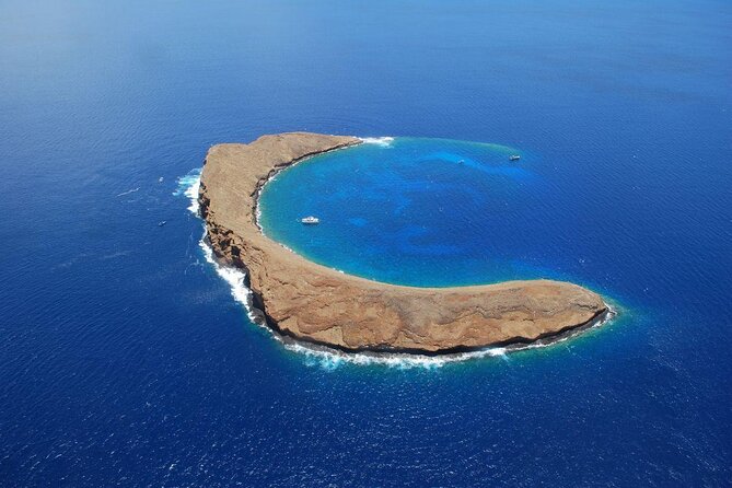 Maui Snorkel Adventure: Molokini Crater and Turtle Cove - A Four-Hour Morning From Maalaea Harbor