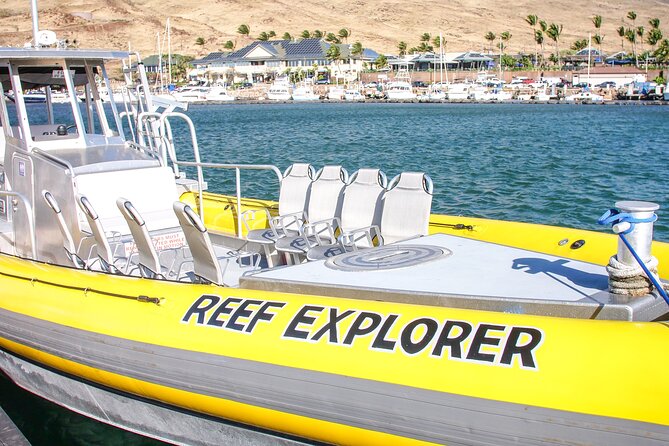 Maui Snorkel Adventure: Molokini Crater and Turtle Cove - Who Will Get the Most From This Tour?