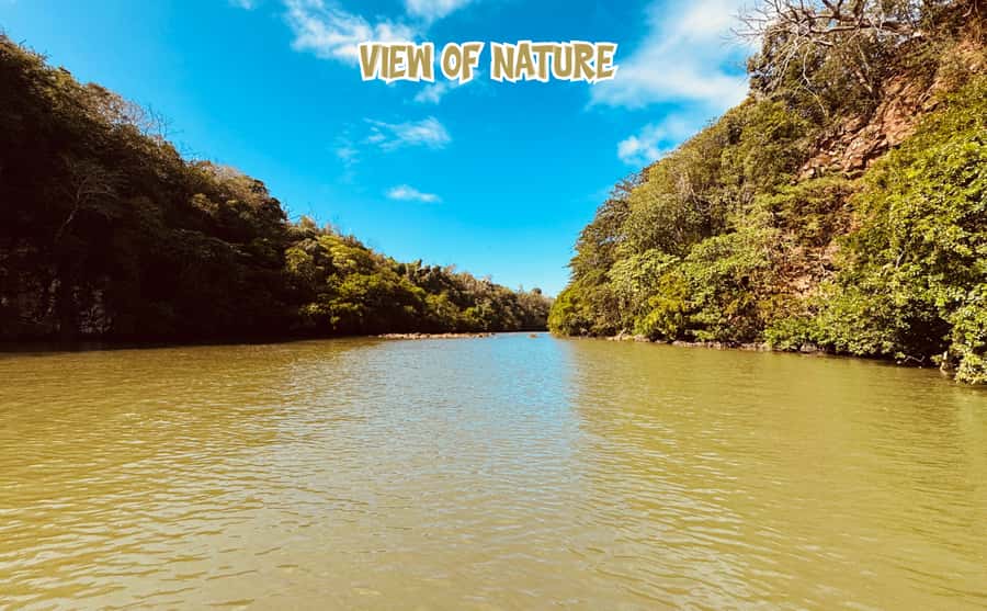 Mauritius: 5 Islands of the East Speedboat Tour with BBQ - Snorkeling near Île aux Aigrettes