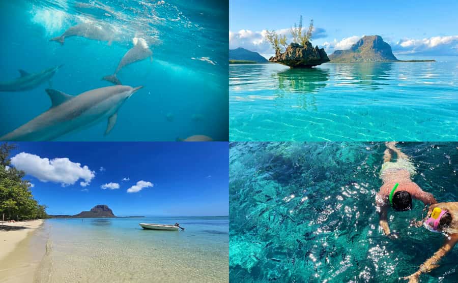 Mauritius: Benitier Island - Swim Dolphins - Speedboat & BBQ - What makes this Mauritius boat trip worth considering